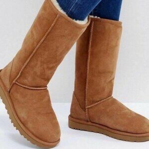 Ugg Tall Boots, Chestnut Suede